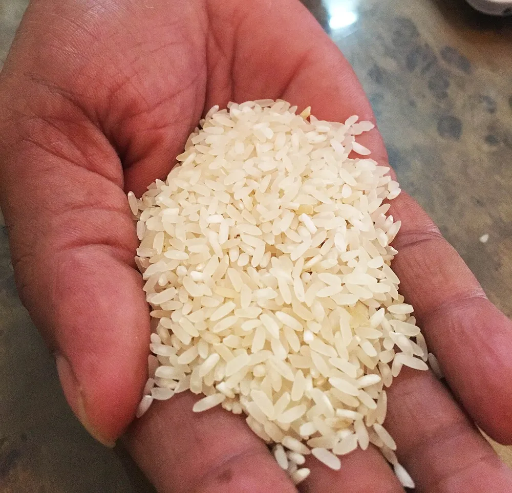 Kalanamak rice grains from eastern Uttar Pradesh, India