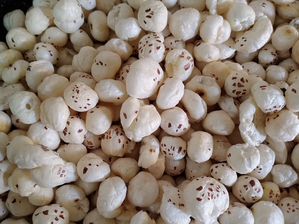 Makhana (fox nuts) from Bihar, India